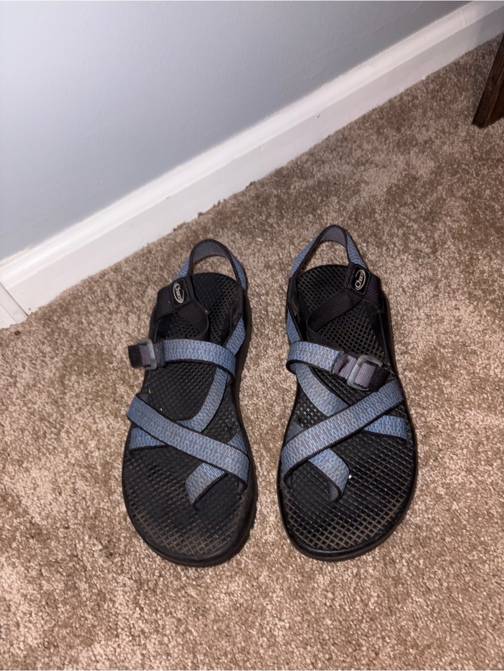 Chaco Women's Z/2 Classic Sandals in Slate Blue and Black